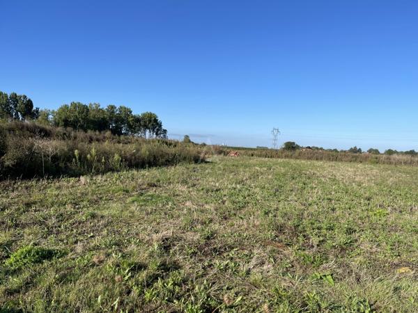 Terrain commercial de 2500 m² situé en ZI