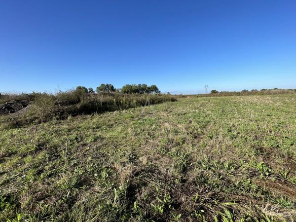 Terrain commercial de 2500 m² situé en ZI