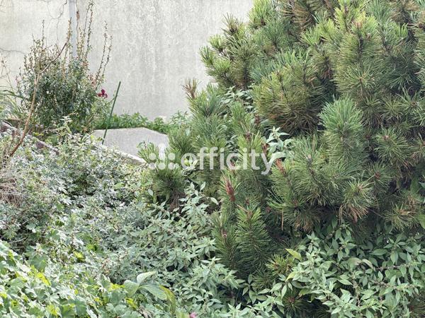 Maison 4 pièces - 80 m² Exclusivité efficity