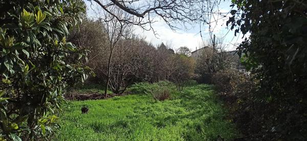 Terrain constructible de 1545 m