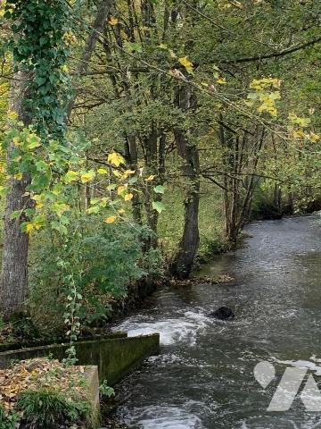 Peupleraie de 8,8ha