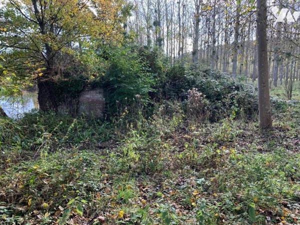 Peupleraie de 8,8ha