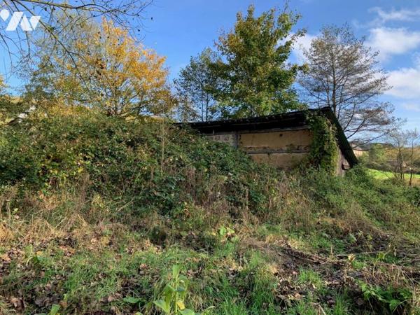 Peupleraie de 8,8ha