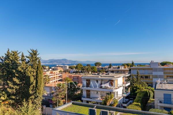Début du Cap d'Antibes | Dernier étage vue mer