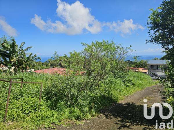 Terrain à vendre 571 m² L'Ajoupa-Bouillon