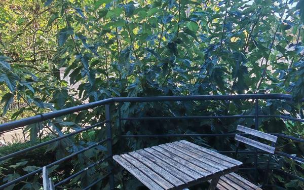 Appartement à louer    2 pièces •  Villeneuve-lès-Avignon