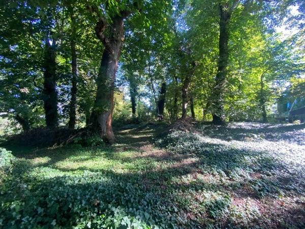 Belle propriété dans un environnement verdoyant