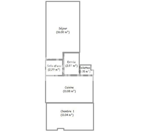 Croix Rousse T2 transformable T3 44 m2 dernier étage rue des Chartreux sur cour