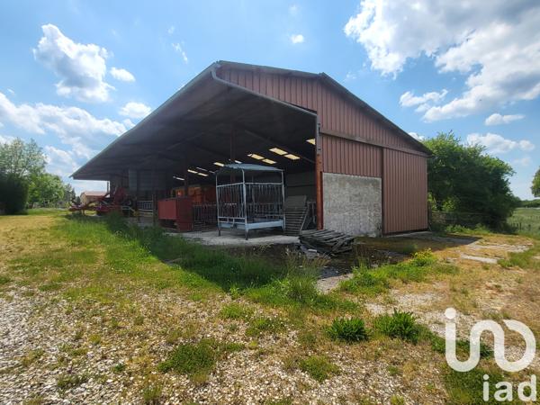 Terrain à vendre 3 251 m² Chaumesnil