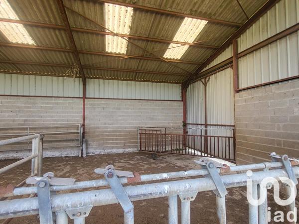 Terrain à vendre 3 251 m² Chaumesnil