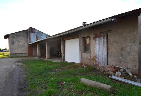 Montauban (82000) MAISON T7 170 m² env 1800 m² de terrain
