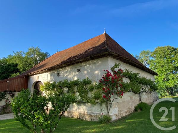 Maison à vendre  15 pièces - 350 m2 ST PARRES AUX TERTRES - 10