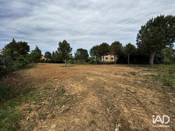 Terrain à vendre 885 m² Montesquieu-des-Albères