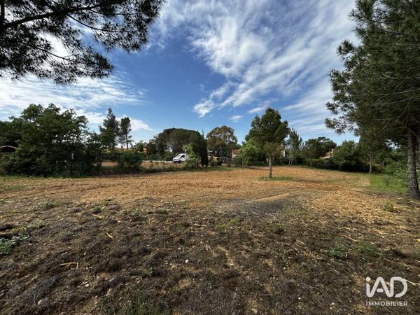 Terrain à vendre 885 m² Montesquieu-des-Albères