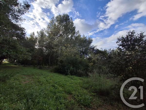 Terrain à vendre  57542 m2 VAUVERT - 30