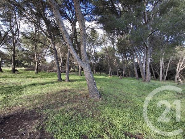 Terrain à vendre  57542 m2 VAUVERT - 30