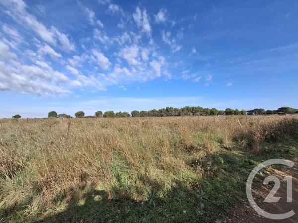 Terrain à vendre  57542 m2 VAUVERT - 30