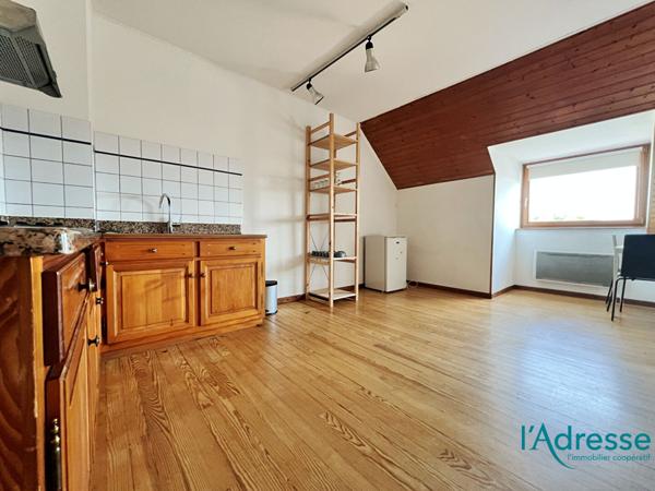 Appartement Colmar 1 pièces - 33 m2