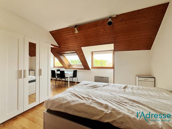 Appartement Colmar 1 pièces - 33 m2