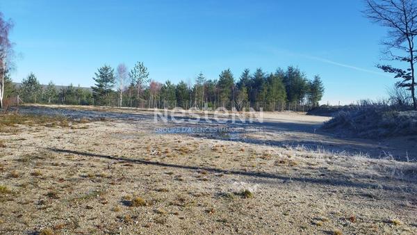Terrain * 2797 M² * 19250 Meymac * 47 500  €