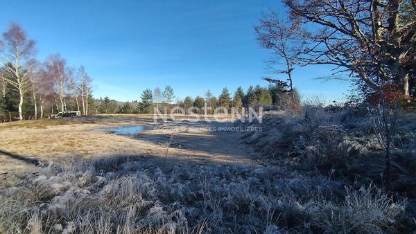 Terrain * 2797 M² * 19250 Meymac * 47 500  €