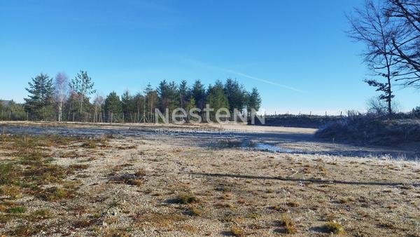 Terrain * 2797 M² * 19250 Meymac * 47 500  €