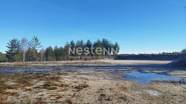 Terrain * 2797 M² * 19250 Meymac * 47 500  €