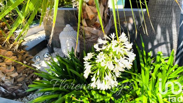 Maison à vendre 6 pièces 165 m² Balaruc-les-Bains