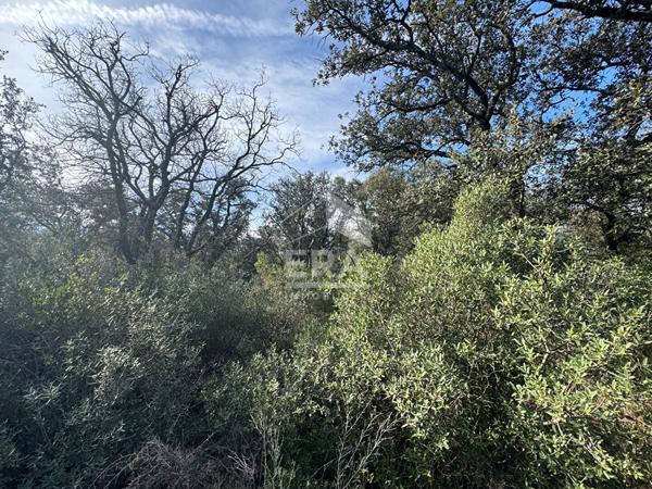 Terrain en zone naturelle protégée - MAZAN 46 530 m2