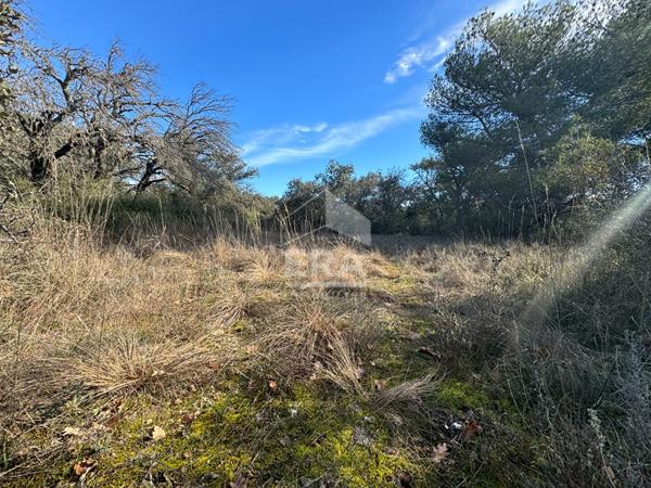 Terrain en zone naturelle protégée - MAZAN 46 530 m2
