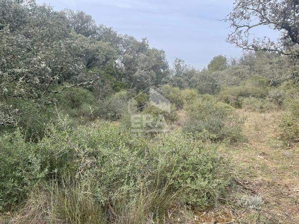 Terrain en zone naturelle protégée - MAZAN 46 530 m2