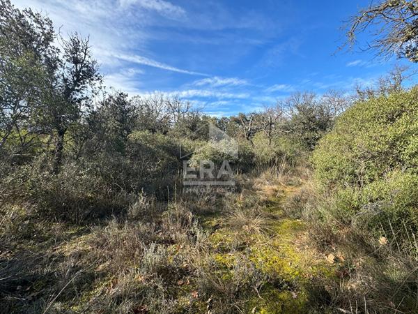 Terrain en zone naturelle protégée - MAZAN 46 530 m2