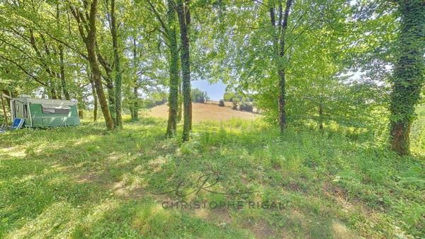 Vente / Maison et grand terrain à Cambounès (81260)