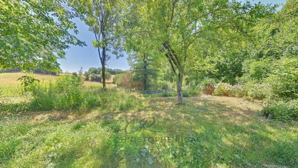 Vente / Maison et grand terrain à Cambounès (81260)