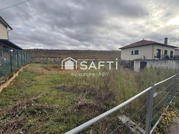 Axe A31 ! Libre de constructeur !