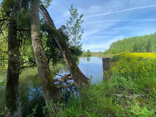 Terrain de pêche et Loisirs