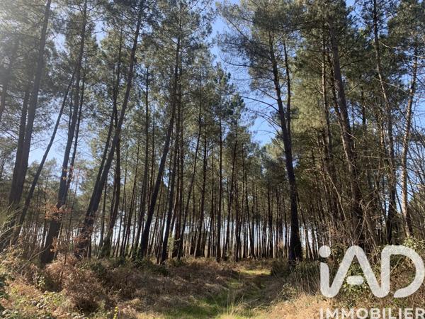 Terrain à vendre 67 925 m² Malicorne-sur-Sarthe