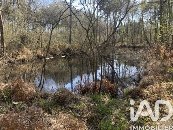 Terrain à vendre 67 925 m² Malicorne-sur-Sarthe
