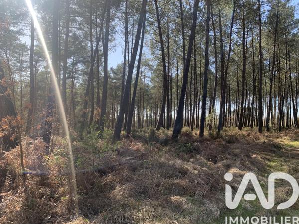 Terrain à vendre 67 925 m² Malicorne-sur-Sarthe