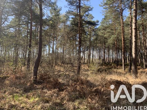 Terrain à vendre 67 925 m² Malicorne-sur-Sarthe