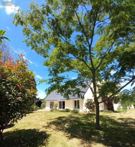 Achat - Maison Pluvigner 56330 5 pièces 131 m 2 1612 m 2