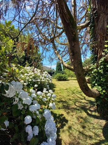 Achat - Maison Pluvigner 56330 5 pièces 131 m 2 1612 m 2