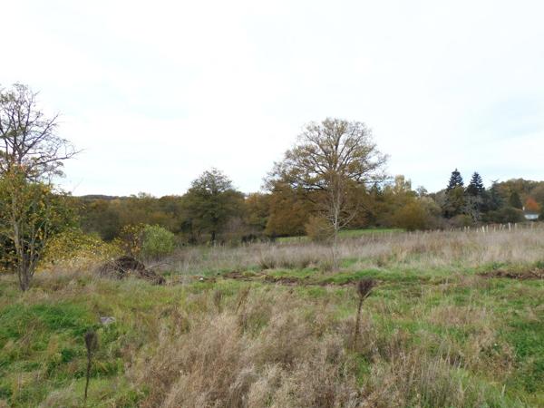 87310 SAINT-LAURENT-SUR-GORRE- Ferme à vendre