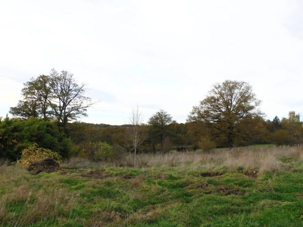 87310 SAINT-LAURENT-SUR-GORRE- Ferme à vendre