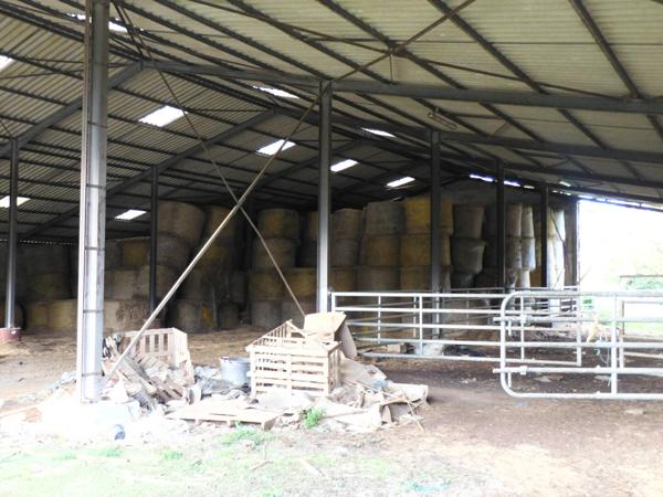 87310 SAINT-LAURENT-SUR-GORRE- Ferme à vendre