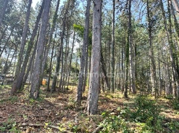 Terrain à vendre de 3 577,00 m² BOURG SAINT ANDEOL (07)