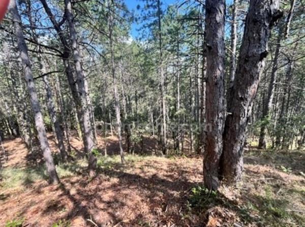 Terrain à vendre de 3 577,00 m² BOURG SAINT ANDEOL (07)