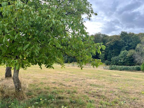 Terrain constructible au calme avec vue dégagée
