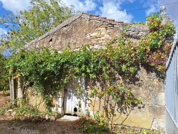 Vente / Maison de plain-pied