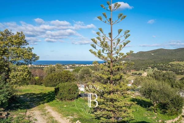 L'Île-Rousse, Maison 5 Chambres -  177 m² à vendre